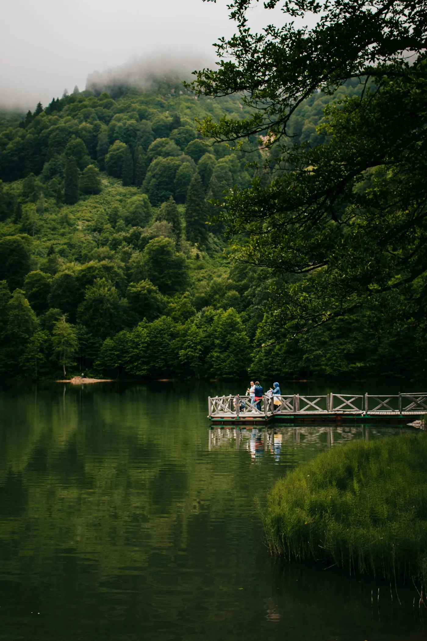 Biogradska Gora Trails